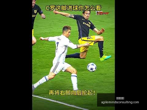 孙颖莎与林,诗栋稳居领,张本兄妹刷,九游会官网,九游会J9,九游会真人,九游会娱乐,九游会平台