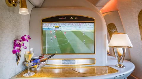 新疆文化代表团赴埃及展成就风采